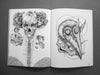 WOOSTER ON PAPER #2: GRAPHITE